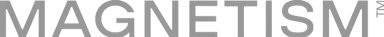 logo Magnestism